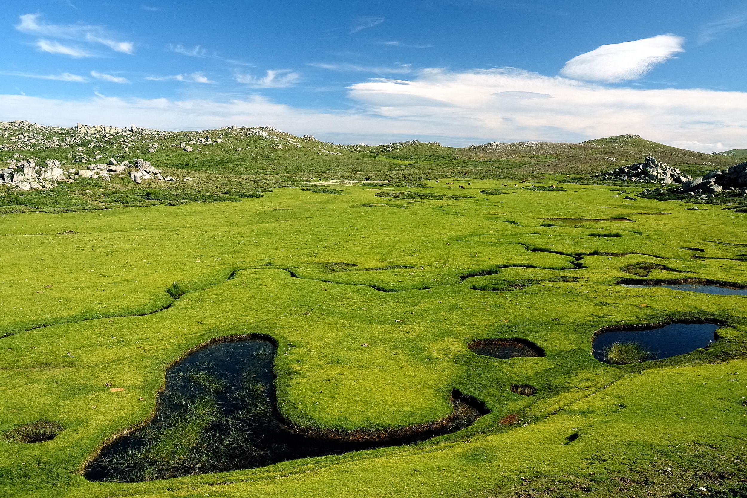 Étape 13 - Usciolu - Cuscionu